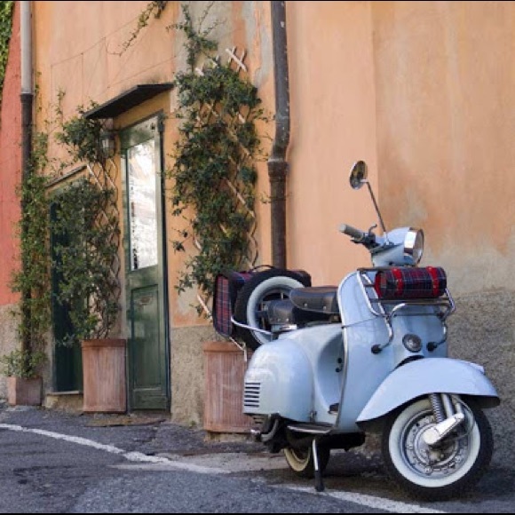 Meet your Posher, Ammar - Picture 1 of 1